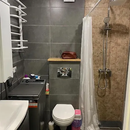 Hygge Apartamento Mizhhirya (Transcarpathia)